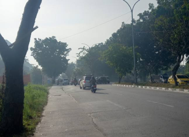 Karhutla di Riau Kian Parah, Mahasiswa Unri Desak Pemerintah Ambil Tindakan Nyata