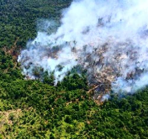 233 Hektar Lahan Terbakar Dipolice Line, Polda Riau Tangani 13 Kasus Karhutla Sepanjang Januari - Fe