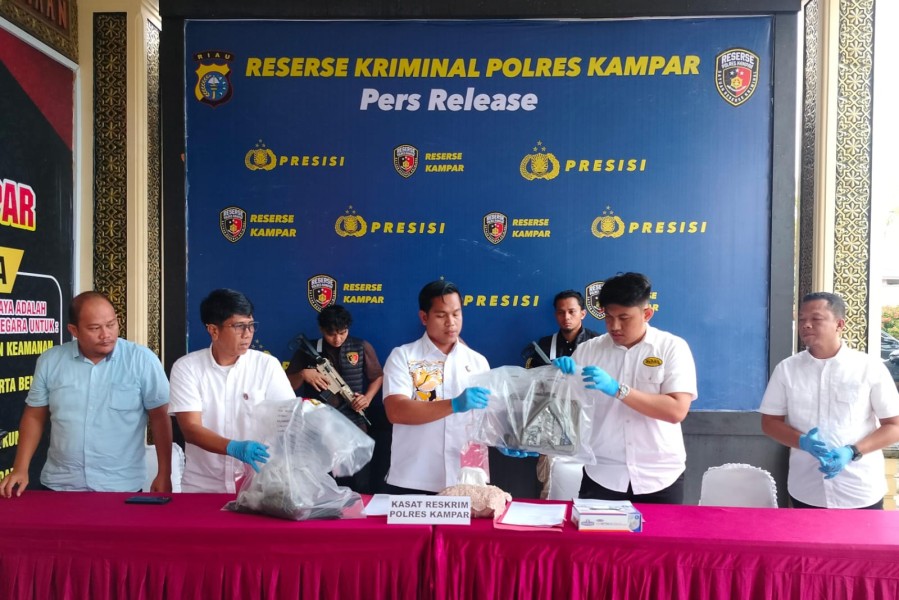 Buka Kebun Sawit Ilegal, Pria di Kampar Ditangkap Usai Bakar Lahan Lindung