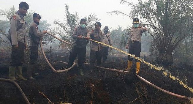 Siang malam Memadamkan titik api Kebakaran Hutan di Riau