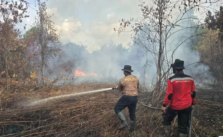Karhutla Masih Terjadi di 7 Daerah Riau, BPBD Damkar Terus Lakukan Pemadaman