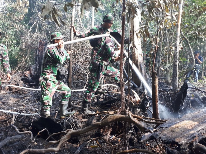 TNI Tambah Personel Bantu Pemadaman Kebakaran Lahan di Riau