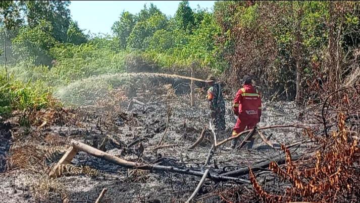 Api Kembali Berkobar di Riau! Lahan Gambut di Kampar Terbakar Dua Hari Berturut-turut