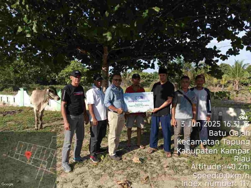 PTPN IV PalmCo Siapkan ribuan Hewan Qurban di 50 Kabupaten Kota untuk Idul Adha 1446 H