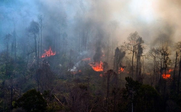 Hutan Lindung Bukit Betabuh Kuansing Terbakar