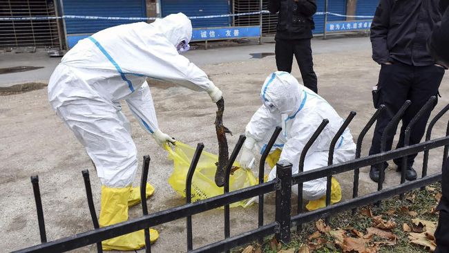 Gabungan Peneliti Kebut Bikin Vaksin Tangkal Corona