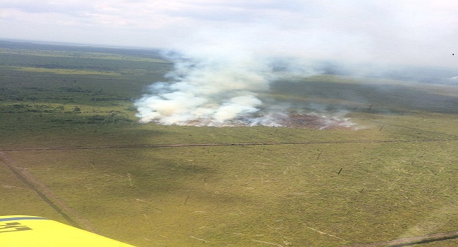 PT NSP Dihukum PN 1 Triliun Terkait Kebakaran Hutan di Riau