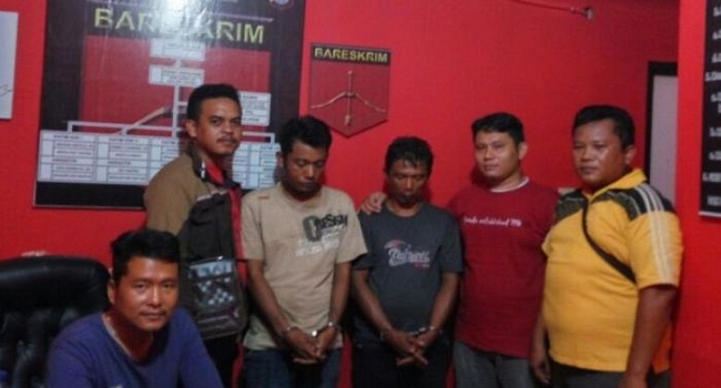 Rencana Pelaku Mencuri Sapi Gagal, 2 Pelaku Berhasil Ditangkap