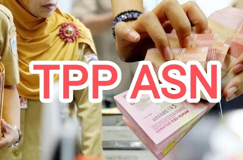Budiman Lubis Tegaskan APBD Riau Harus Kembali di Atas Rp10 Triliun Agar TPP ASN Aman