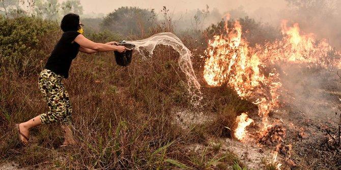 49 Korporasi Dilaporkan ke Mapolda, Ada Bukti Kebakaran Terus Berulang