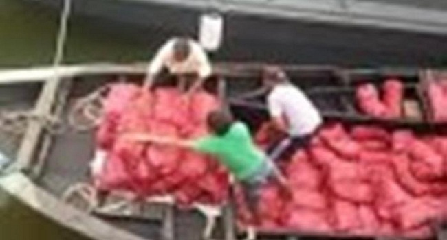 Tiga Ton Bawang Merah Ilegal Dimuat dalam Bus Penumpang