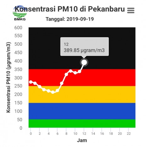 Udara Pekanbaru Sentuh Level Berbahaya, Bau Menyengat Menusuk Hidung
