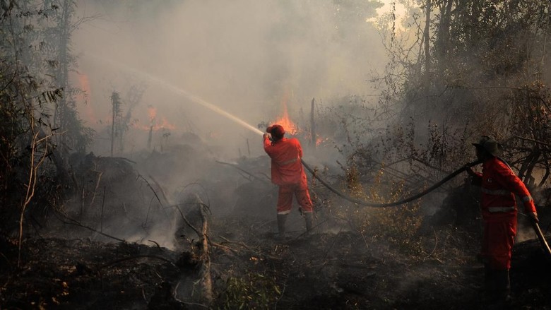 Bantu Pemadaman Api, Satgas Karhutla Riau Kirim 1 Helikopter ke Jambi