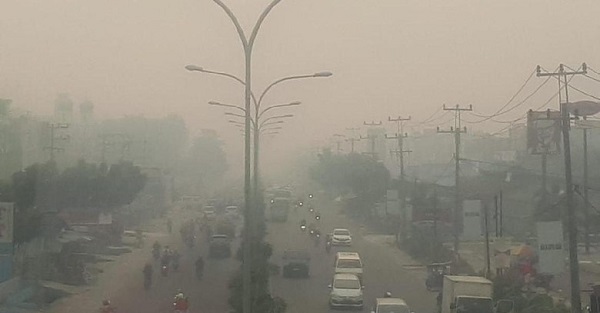 Kabut Asap Makin Pekat di Riau, Jarak Pandang di Bandara Terpengaruh