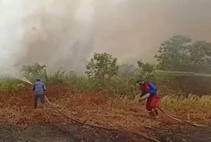 Paling Banyak di Bengkalis, Luas Lahan Terbakar di Riau Capai 803 Hektare
