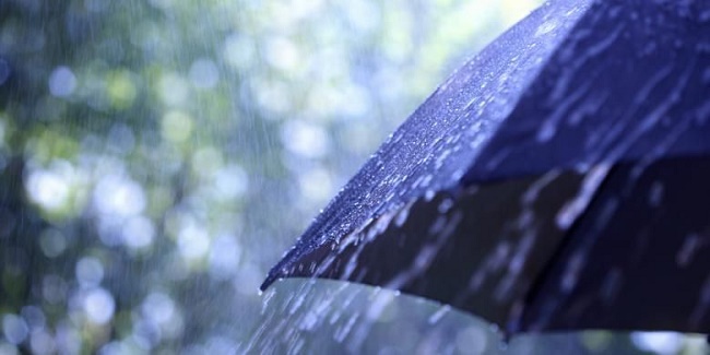 Prakiraan Cuaca, Bagian Utara dan Barat Riau Akan Hujan