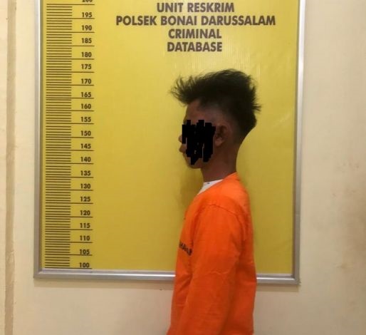 Lamaran Ditolak, Dodos Bertindak