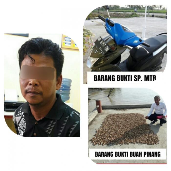 Pria Inhil Ini Merampas sepeda motor Milik Eko Dan Pinang 40 kilogram, Diringkus Polisi