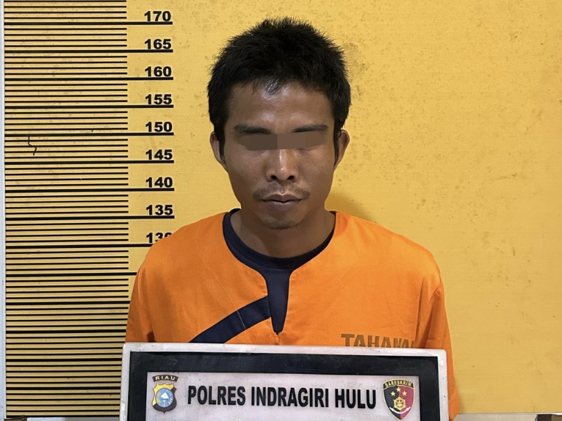 Bakar Lahan untuk Kebun Sawit, Warga Inhu Ditangkap Polisi Berkat Sistem DLK