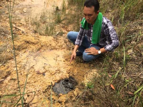 Limbah Minyak Chevron Diduga Meluap di Desa Buluh Manis Bengkalis