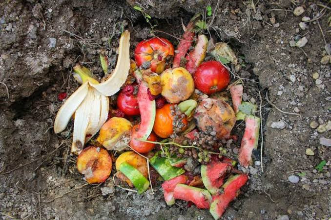 Recycle! Manfaatkan Limbah Buah dan Sayur, DLHK Riau Buat Eco Enzyme untuk Penjernihan Sungai dan Da