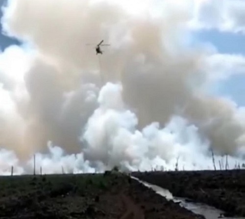 Karhutla Terjadi di Desa Merbau Pelalawan, Asap Pekat Terlihat Membumbung Tinggi