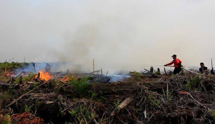 Karhutla Meluas, 7 Hektar Lebih Lahan Terbakar di Pekanbaru