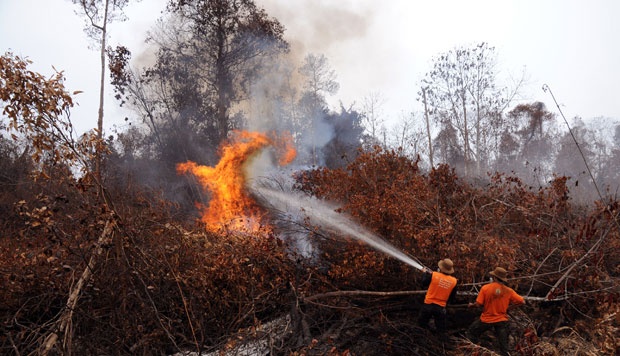 Kapolda Riau Yakin Kebakaran Lahan Terencana