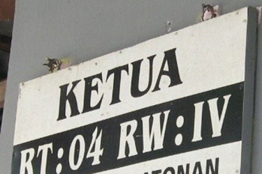 Perwako RT/RW Pekanbaru: Utamakan Musyawarah, Voting Jadi Opsi Terakhir