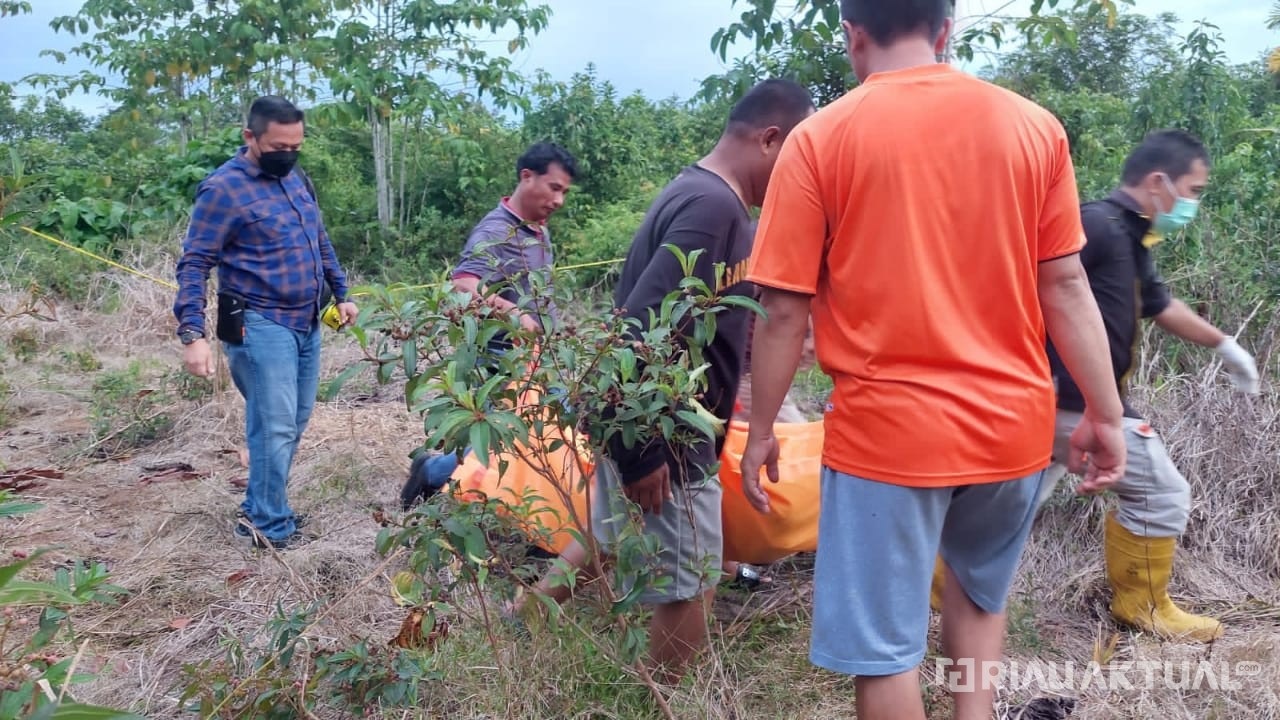Seminggu Menghilang, Seorang Kakek Ditemukan Tewas di Lahan Kosong