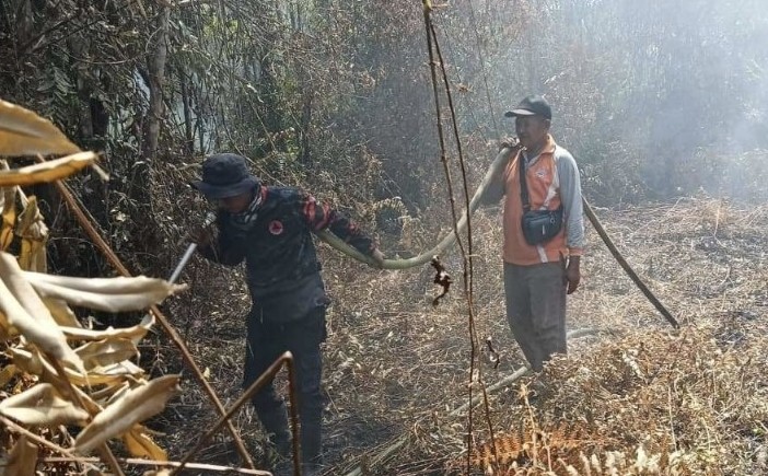 Curah Hujan Menurun, BPBD Riau Imbau Daerah Waspada Karhutla