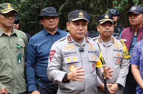 Gajah Sumatera Ditemukan Mati Tanpa Kepala di Pelalawan, Polda Riau Bentuk Satgas Gabungan