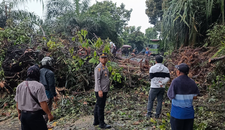 Longsor di Jalan Lintas Kuansing-Pekanbaru Sebabkan Kemacetan Panjang