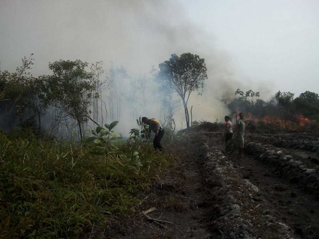 Gubernur Riau Susun Strategi agar Karhutla Tak Terulang Lagi