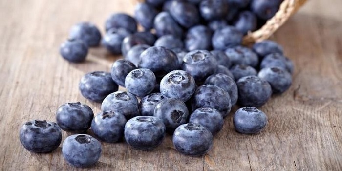 Peneliti Ungkap Blueberry Dapat Bantu Pengobatan Kanker Serviks