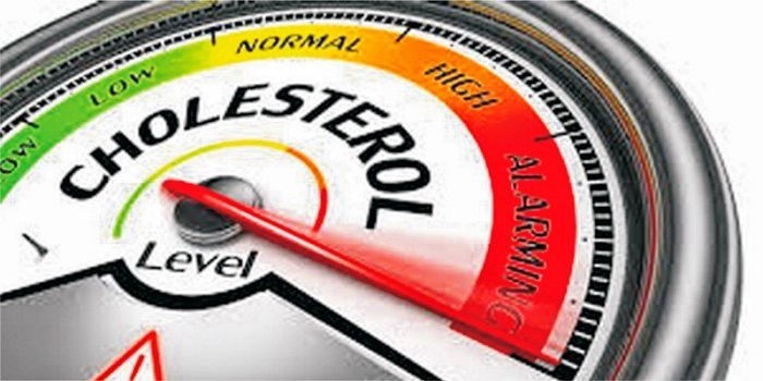 Berikut Beberapa Asupan Untuk Menurunkan Kolestrol yang Tinggi