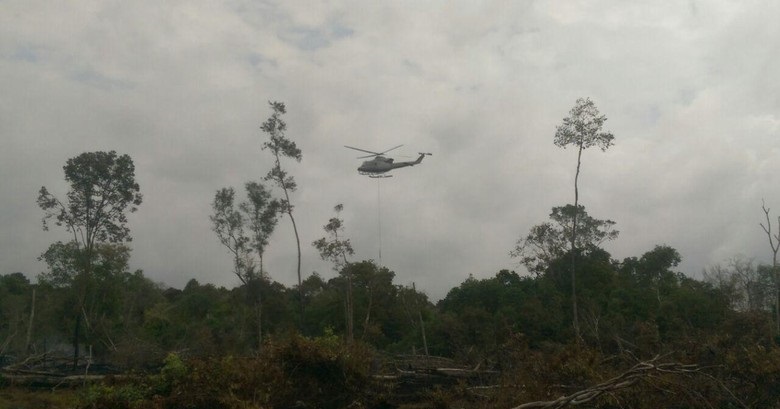 Kebakaran Lahan di Riau, Titik Panas Tersebar di Sejumlah Lokasi
