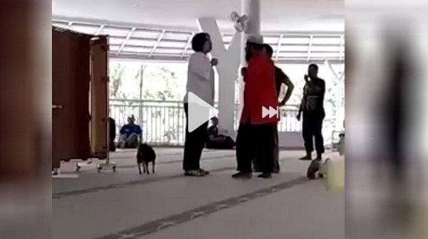 Viral Video Wanita Bawa Anjing ke Dalam Masjid Sambil Berteriak di Sentul Bogor