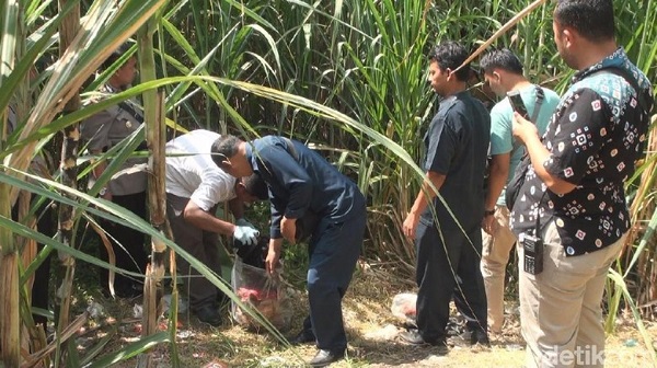 Kisah Wakil Ketua DPC PPP Jombang yang Berakhir di Kebun Tebu