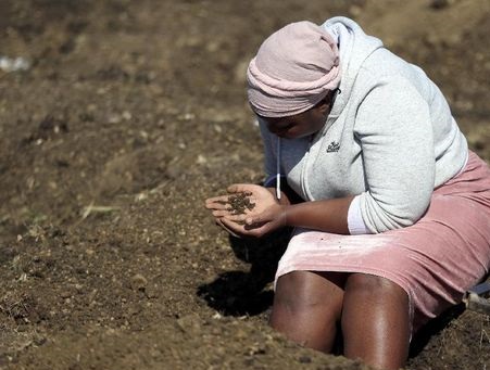 Asal Muasal Berlian yang Diserbu Warga Afrika Selatan