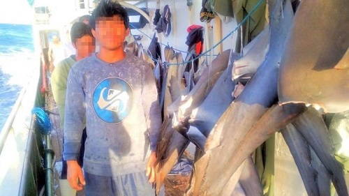 Kesaksian ABK Indonesia di Kapal China: Tidur Cuma 3 Jam, Makan Umpan Ikan