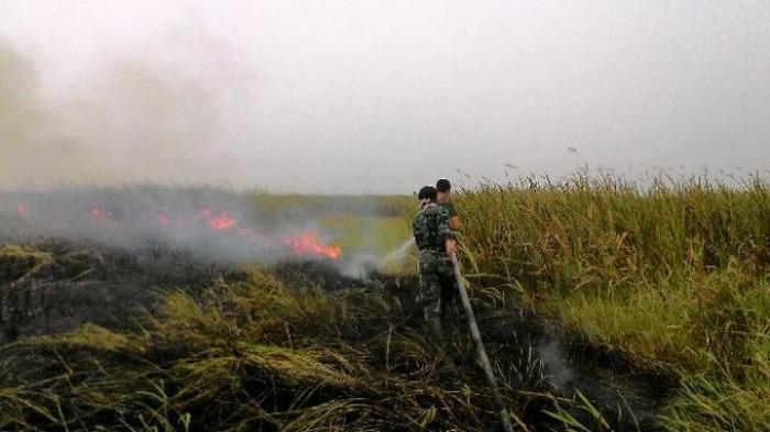 Tentang Gambut, Kemarau, dan Kebakaran Lahan di Riau