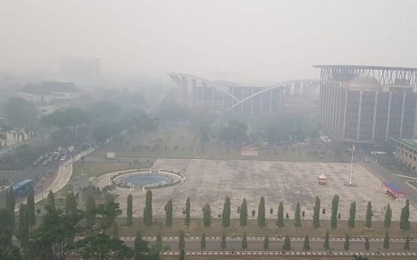 Kabut Asap Kian Parah, Walikota Pekanbaru Instruksikan Liburkan Sekolah