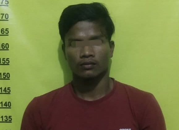 Sedang Belajar Daring di Tengah Hutan, Siswi SMP di Rakit Kulim Diperkosa Buruh