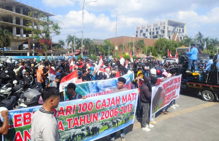 Selamatkan Habitat Gajah! Aliansi Riau Dukung Relokasi dari TNTN