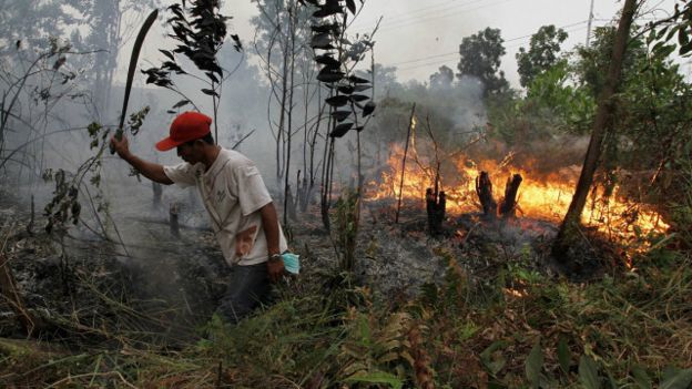 Titik Panas di Riau Terus Meningkat
