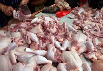 Harga Ayam Potong di Pekanbaru Masih Fluktuatif, Pemko Siapkan Pemantauan Pasokan