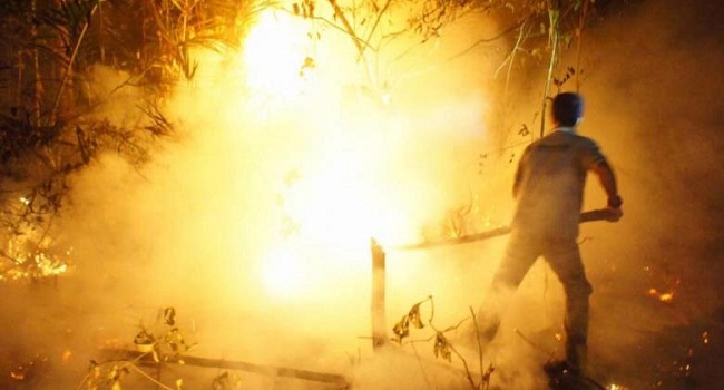 Kasus Pembakaran Hutan Yang Tak Pernah Ada Habisnya