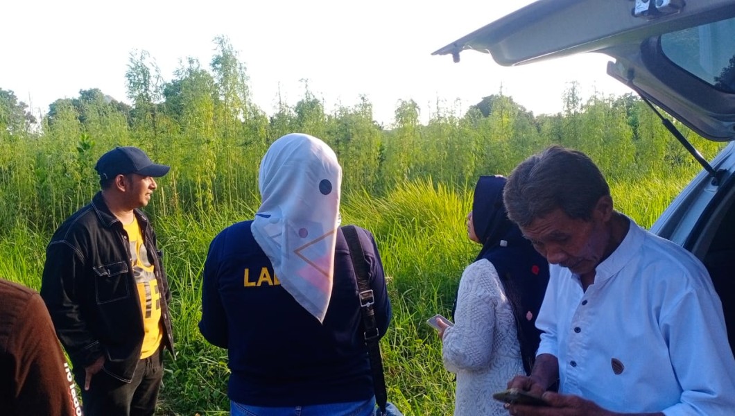 Heboh! Warga Pekanbaru Temukan Ratusan Tanaman Diduga Ganja di Lahan Kosong