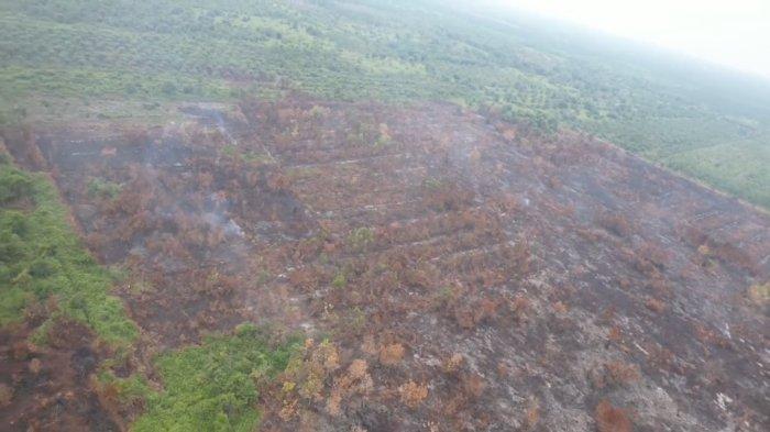 Karhutla di Kampar Kian Mengkhawatirkan, BPBD Kekurangan Armada dan Personel